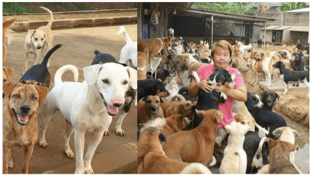 benihbaik_2020-11-17_71dec05aff5b1e250efc646e354b5827663c4207_png