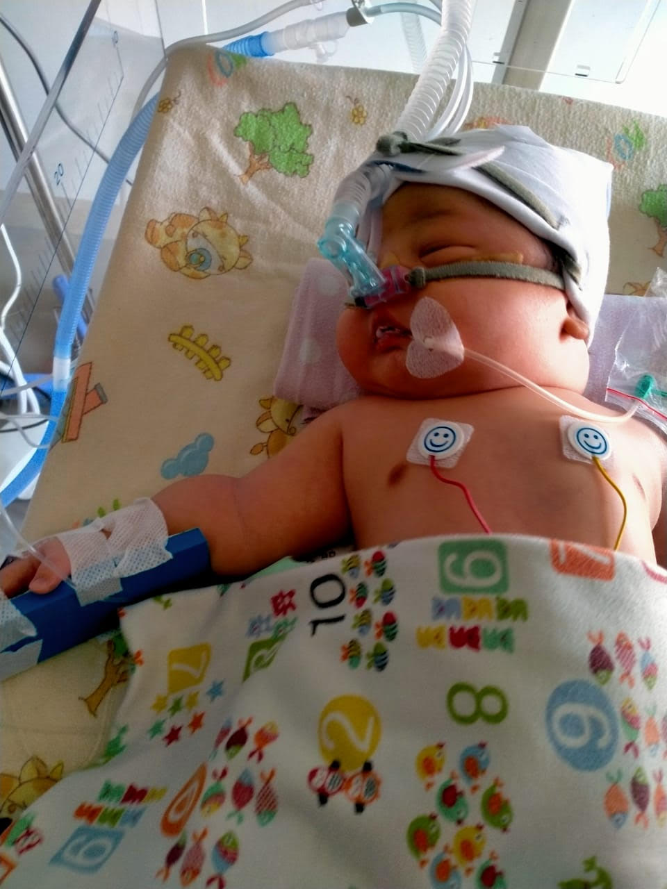 benihbaik_2020-11-17_c25167c53a590739bd724c7d3075a53f7b80a4a1_jpeg