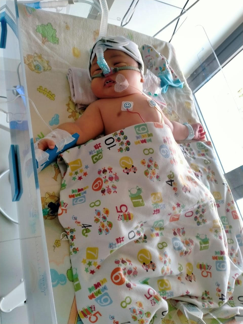 benihbaik_2020-11-17_f426c8c0a57ee719898d453883f9d312be072805_jpeg