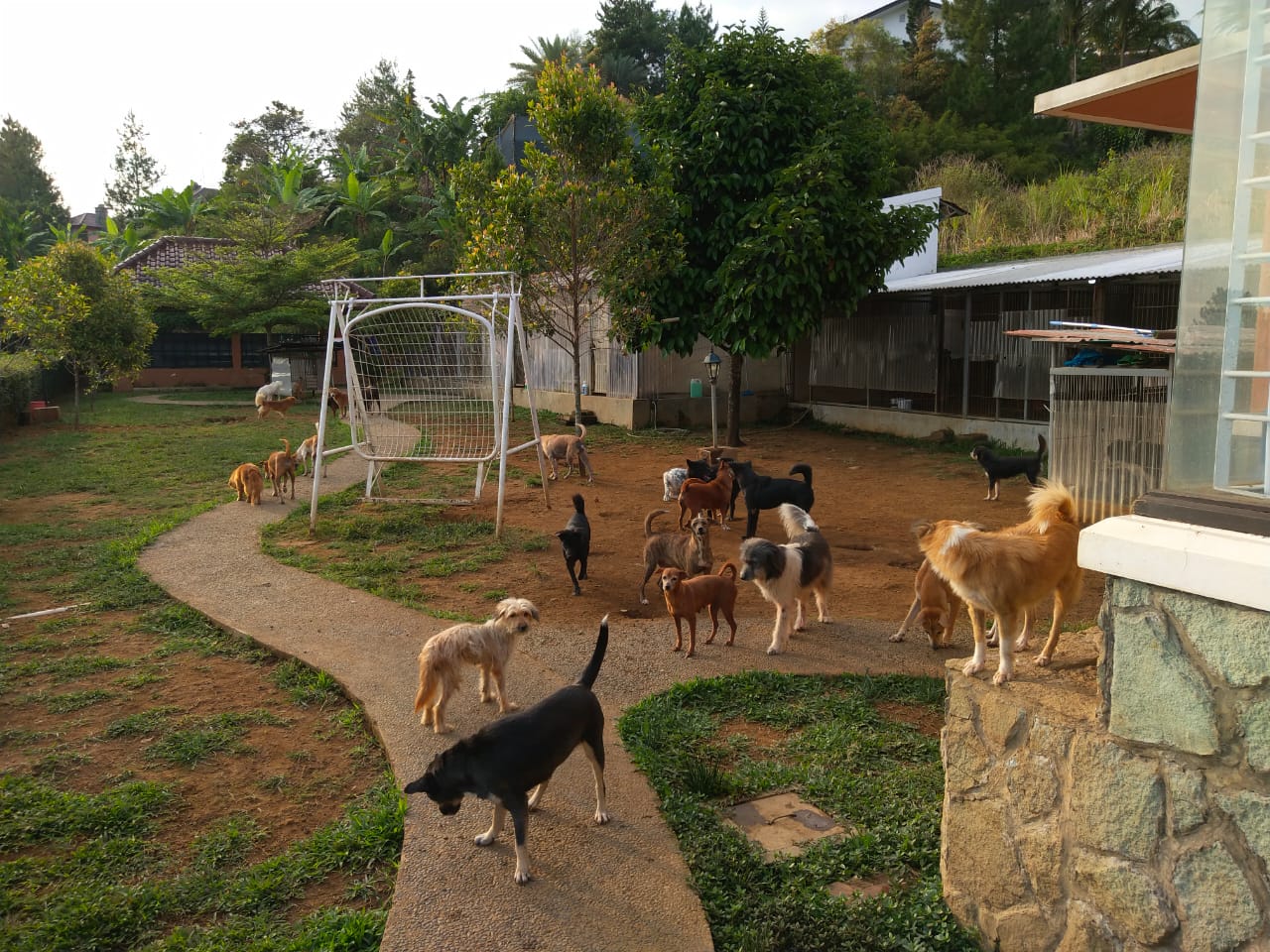 benihbaik_2020-11-19_6ba3e74829ae3838919b31750b4d45c398b7125d_jpeg