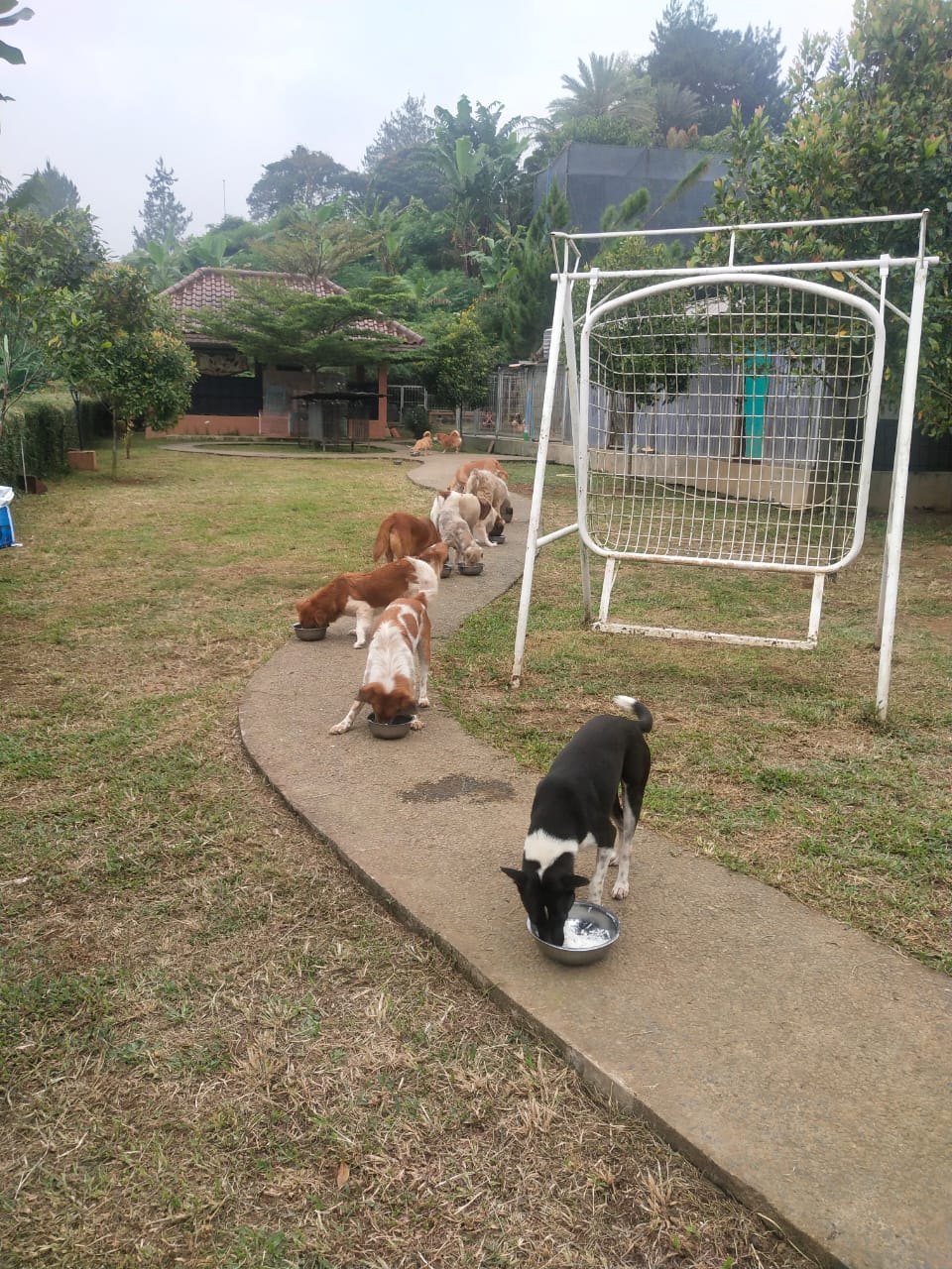 benihbaik_2020-11-19_b9677dbb31ad7912c44ace94aa4f45891ee0e955_jpeg