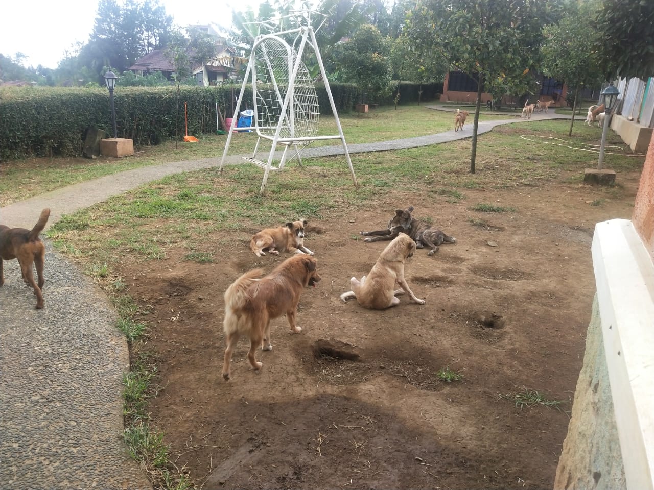 benihbaik_2020-11-19_de4bf22d27e1b79a54cc82ef703bbf2c0f4f8a56_jpeg