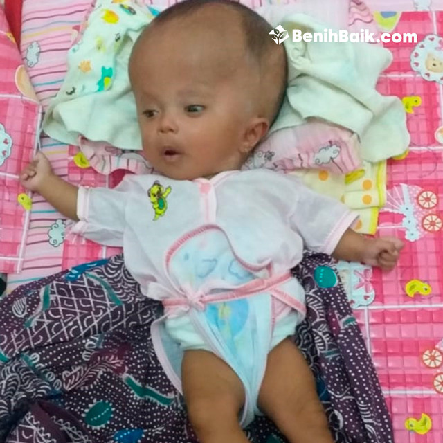 benihbaik_2020-11-20_eb6c7cec7333cf42f2bc288ad45231f0dba2bb02_jpeg