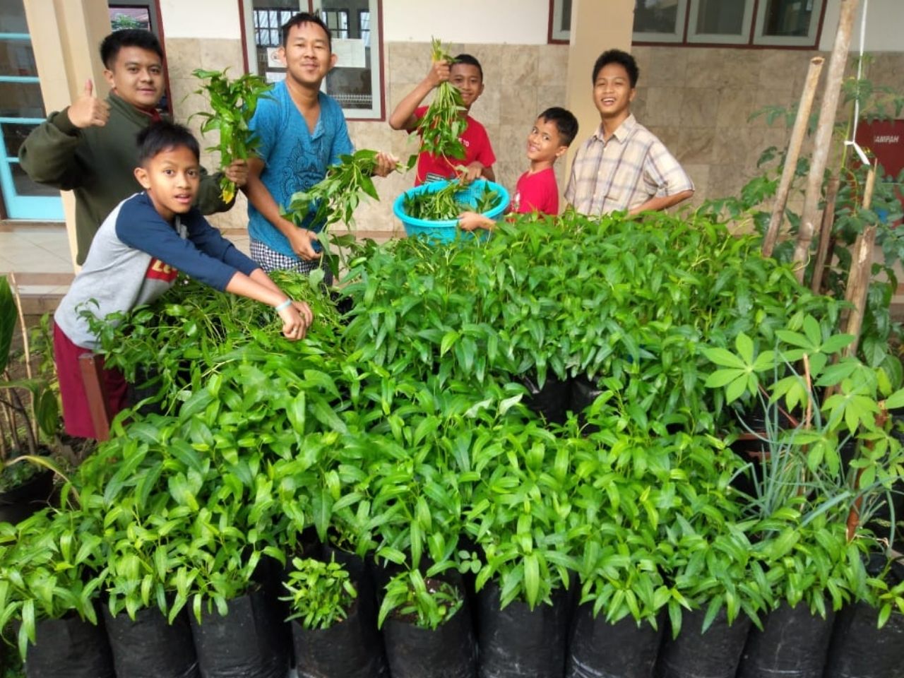 benihbaik_2020-11-21_21b6dd635f6b5342d1b516bc5f3f380f95b5504a_jpeg