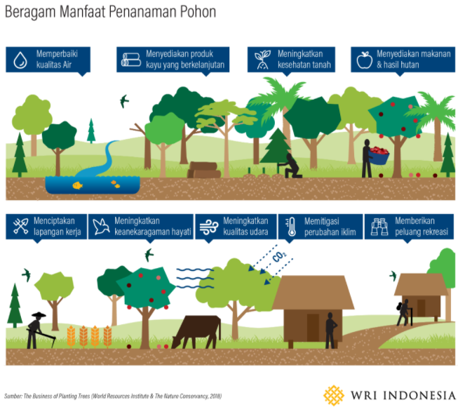 benihbaik_2020-11-25_9a8da589b17dc4286120247e34c076044e254837_png