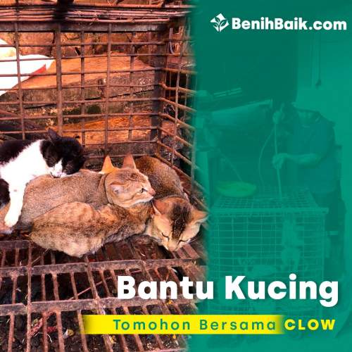 benihbaik_2020-11-26_cdd65066f1cd0d84b74fa13f6d0e8daf381f7add_jpeg