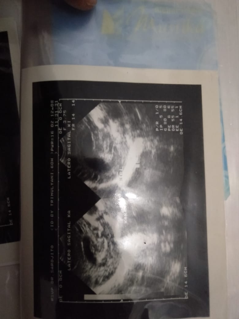 benihbaik_2020-12-09_82105d6ea91288da5b1ccdc95597c8454dc8aff3_jpeg