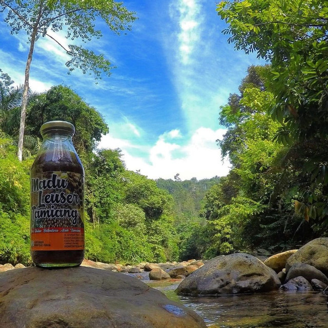 benihbaik_2020-12-15_bdd88a590017e96b9a6554e9e3b280f04ae54d6b_jpeg