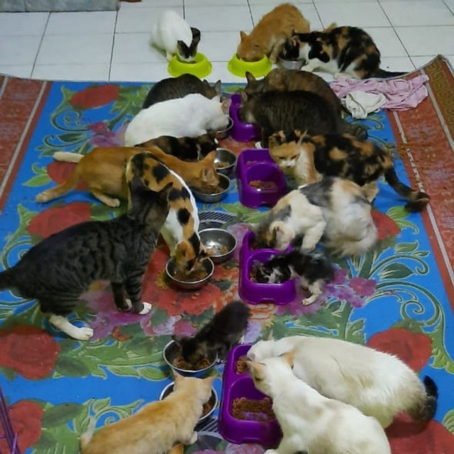 benihbaik_2020-12-15_ebb1fbda4daa047350fe6a72d2196b687b77aeca_jpeg