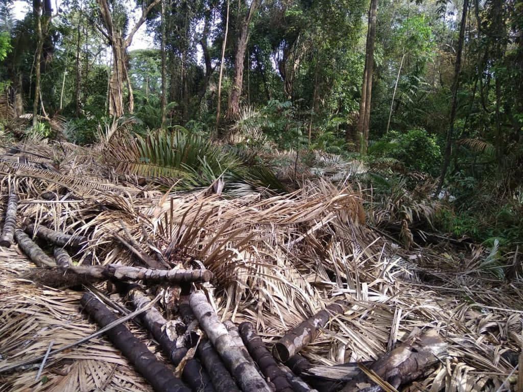 benihbaik_2020-12-20_fb0ef844534e468e6467737256901d33260da8a9_jpeg