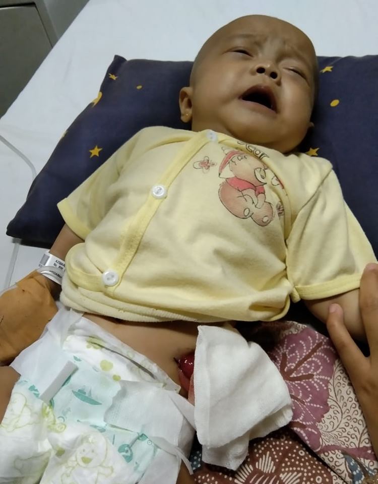 Birgalikda bolgan hikoya