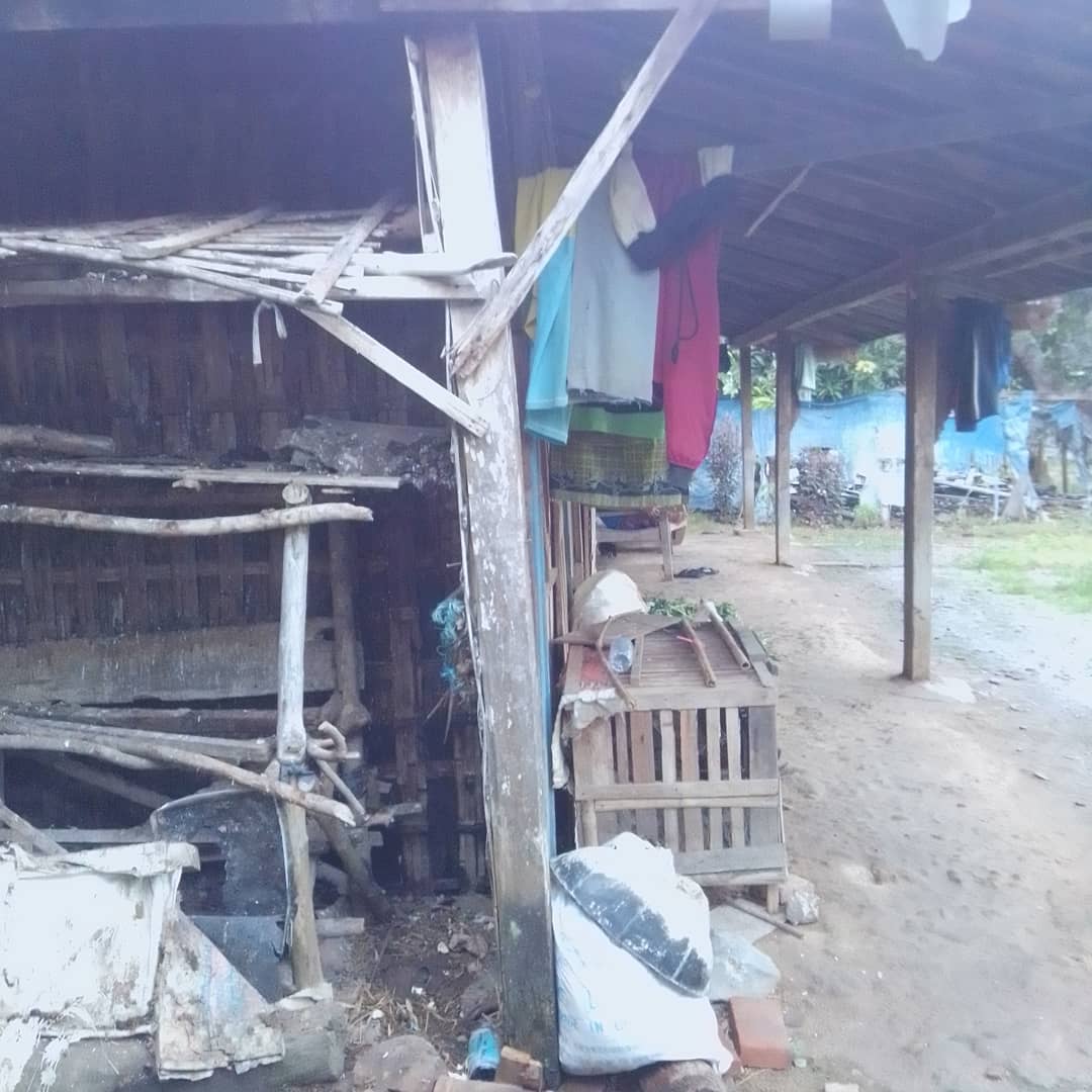 benihbaik_2021-01-09_4b63d58cb78849e692b7b49033a9b775a81ff988_jpeg