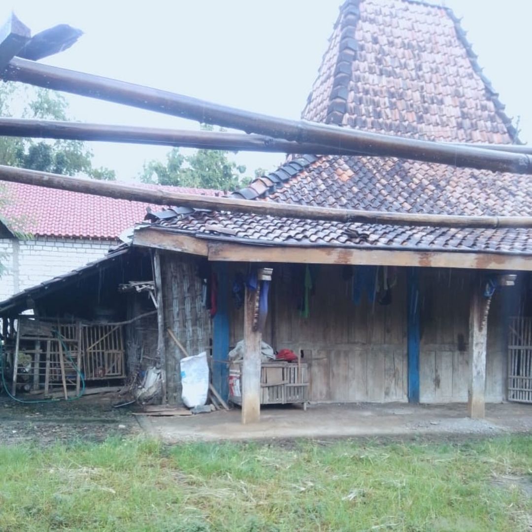 benihbaik_2021-01-09_a9bd4f61725cacd0bf713fadf05c83cd7cd1743e_jpeg