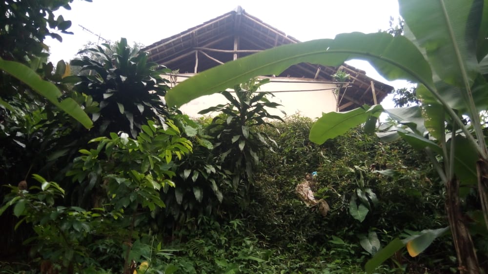 benihbaik_2021-01-11_eac054d1025aa158df4eb58cd985273425f00e67_jpeg