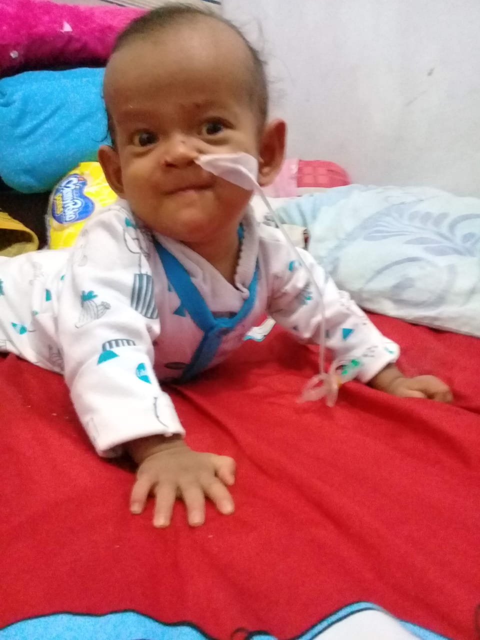 benihbaik_2021-01-24_0f2a26d4dc144971129a97b18ad68be38bebab6e_jpeg