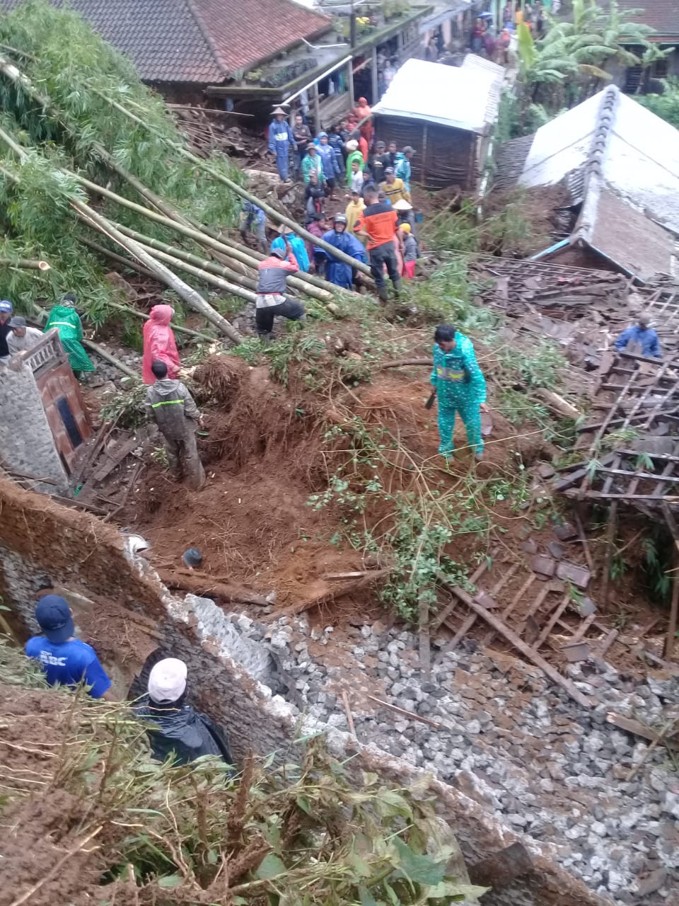 benihbaik_2021-02-04_e8d8fd46aa27ca0efe4bd3bfdf8a2a1b2d01c1e0_jpeg