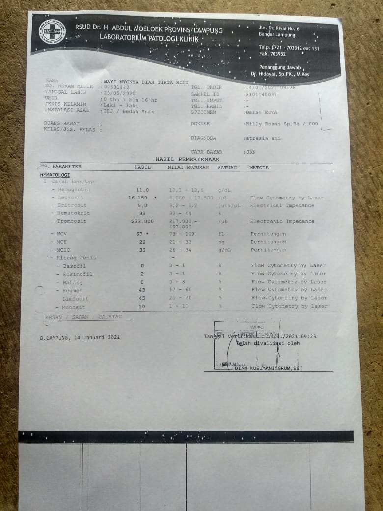 benihbaik_2021-02-11_5d5fdb71c96ee2afd79ec850116484358b91ccb2_jpeg