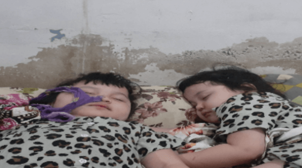 benihbaik_2021-02-17_d953149506e84d8fb98d7702fb2093b9c39c0537_png