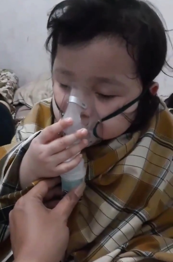 benihbaik_2021-02-17_e783ded3491ecb4f8fe77fce0c09926c53f766fe_jpeg