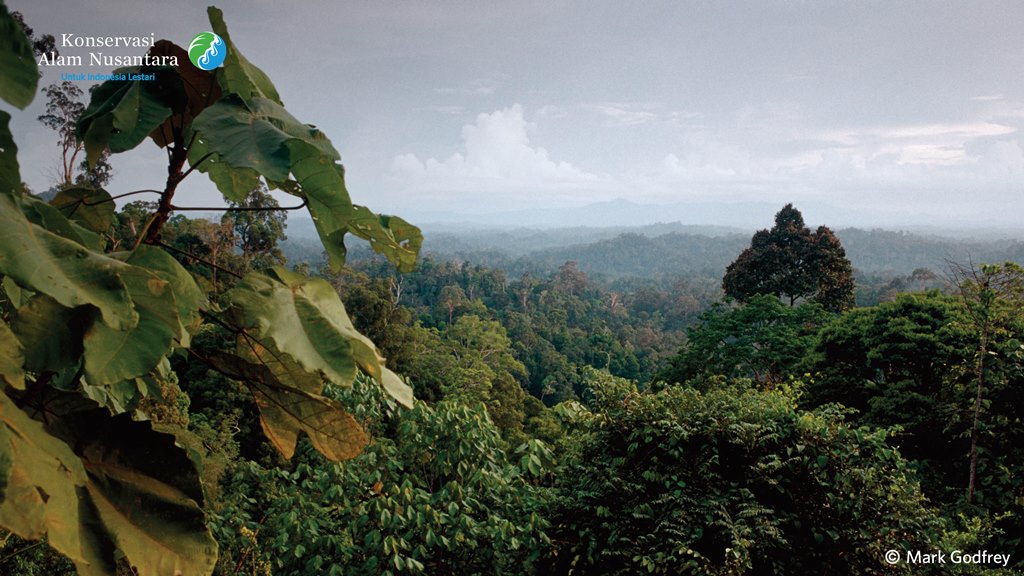 benihbaik_2021-03-03_03309d61d130b37138ae551e067eb68ba964aca0_jpeg