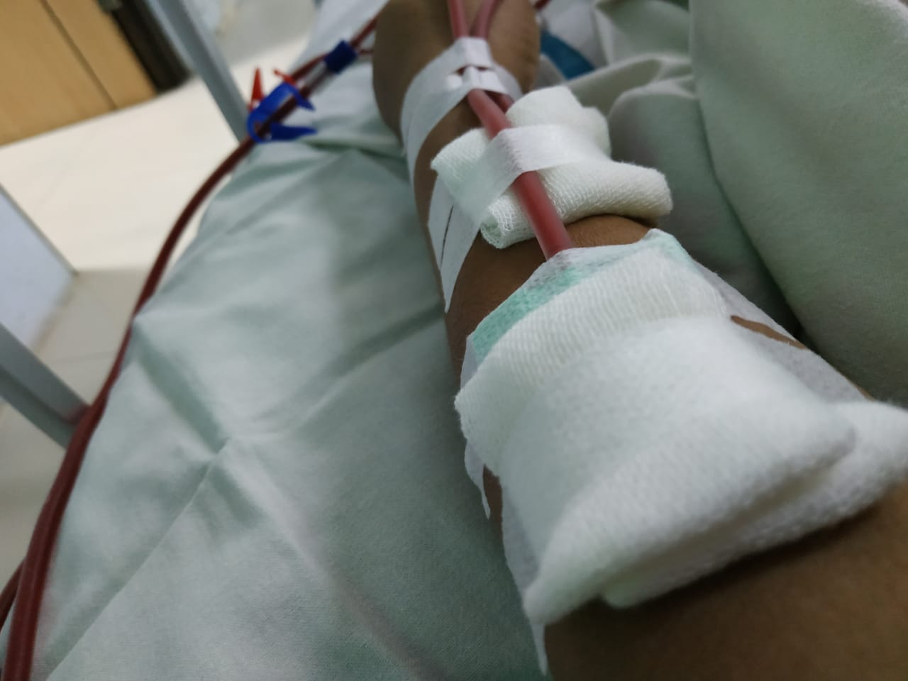 benihbaik_2021-03-03_104b05feaaf736785213a07b6c2b028d34901181_jpeg