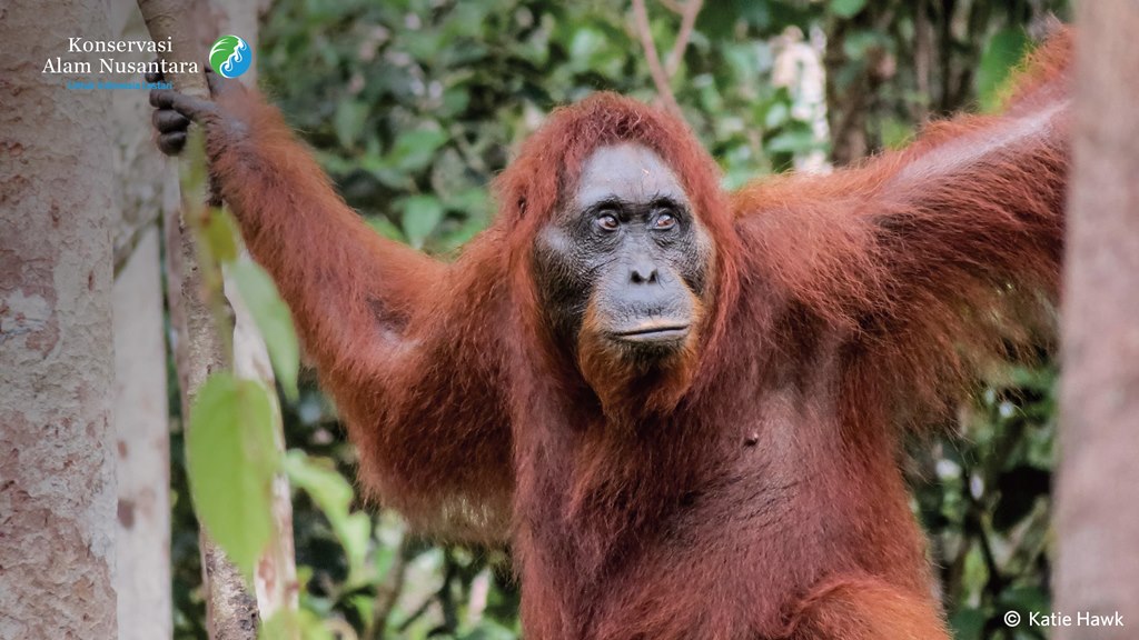 benihbaik_2021-03-03_23be31ada06fc3462cd6fa22e32f768eb1229a6d_jpeg