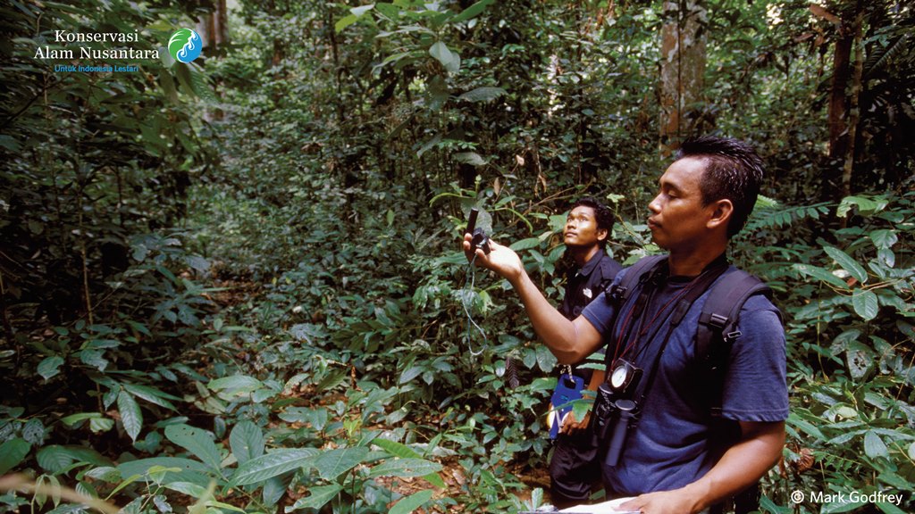 benihbaik_2021-03-03_8db5fc74ecd1eb7c10424c2a02a1f9abd8d6cb96_jpeg