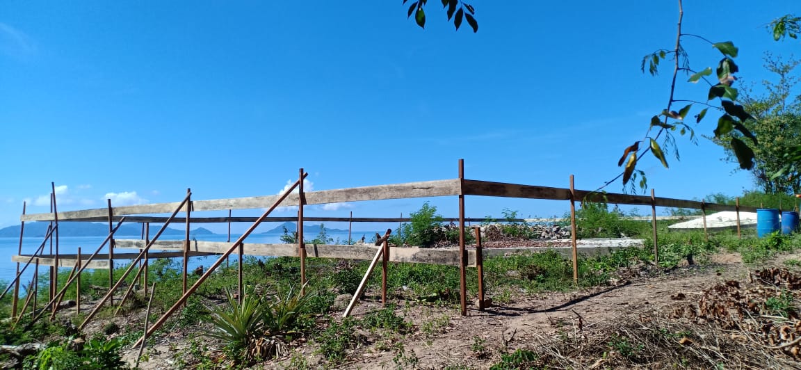 benihbaik_2021-03-04_2be43dd42ca5e641e93fc88d06e8ddc88c9085b0_jpeg