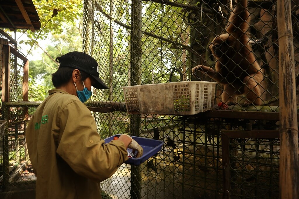 benihbaik_2021-03-09_9f4e07959d0d53bd4ff0dc9f7885ef69b7811873_jpeg