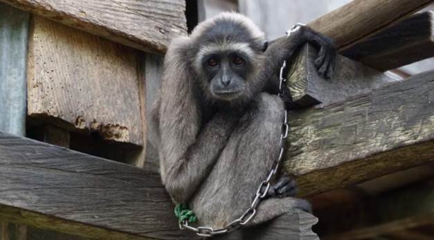 benihbaik_2021-03-15_06c744075baa35e25eb297582aa402d9d4fa4056_jpeg