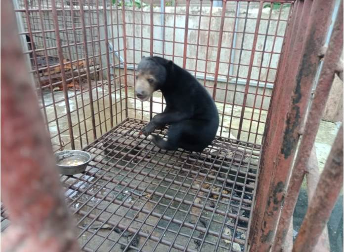 benihbaik_2021-03-15_1d94915fa1fa17b1c49d8559935d545b856bccd0_jpeg