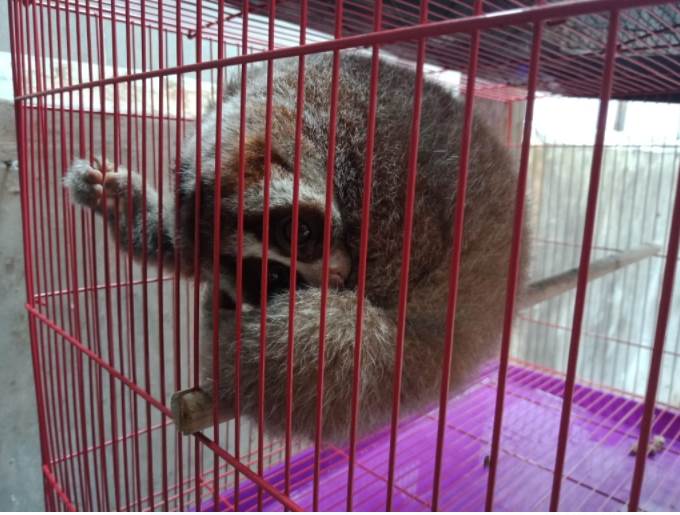 benihbaik_2021-03-15_6384d2f968624f863c4697dcba2f27cb5d2cc809_jpeg