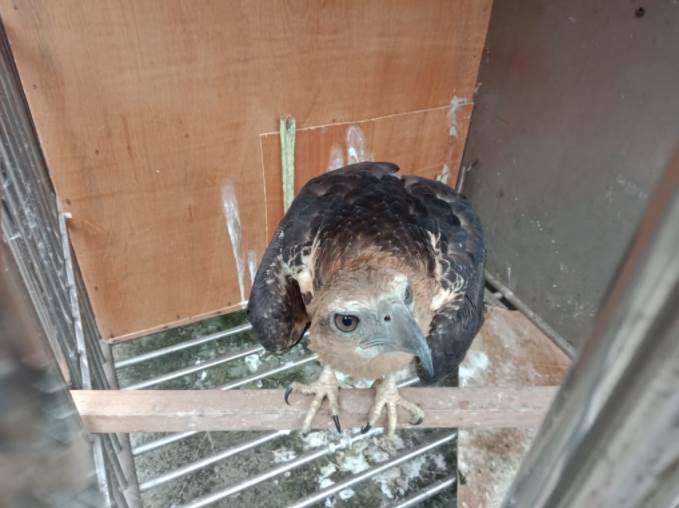 benihbaik_2021-03-15_bd791447858c8d53bc70b233ef48d65d416756ac_jpeg