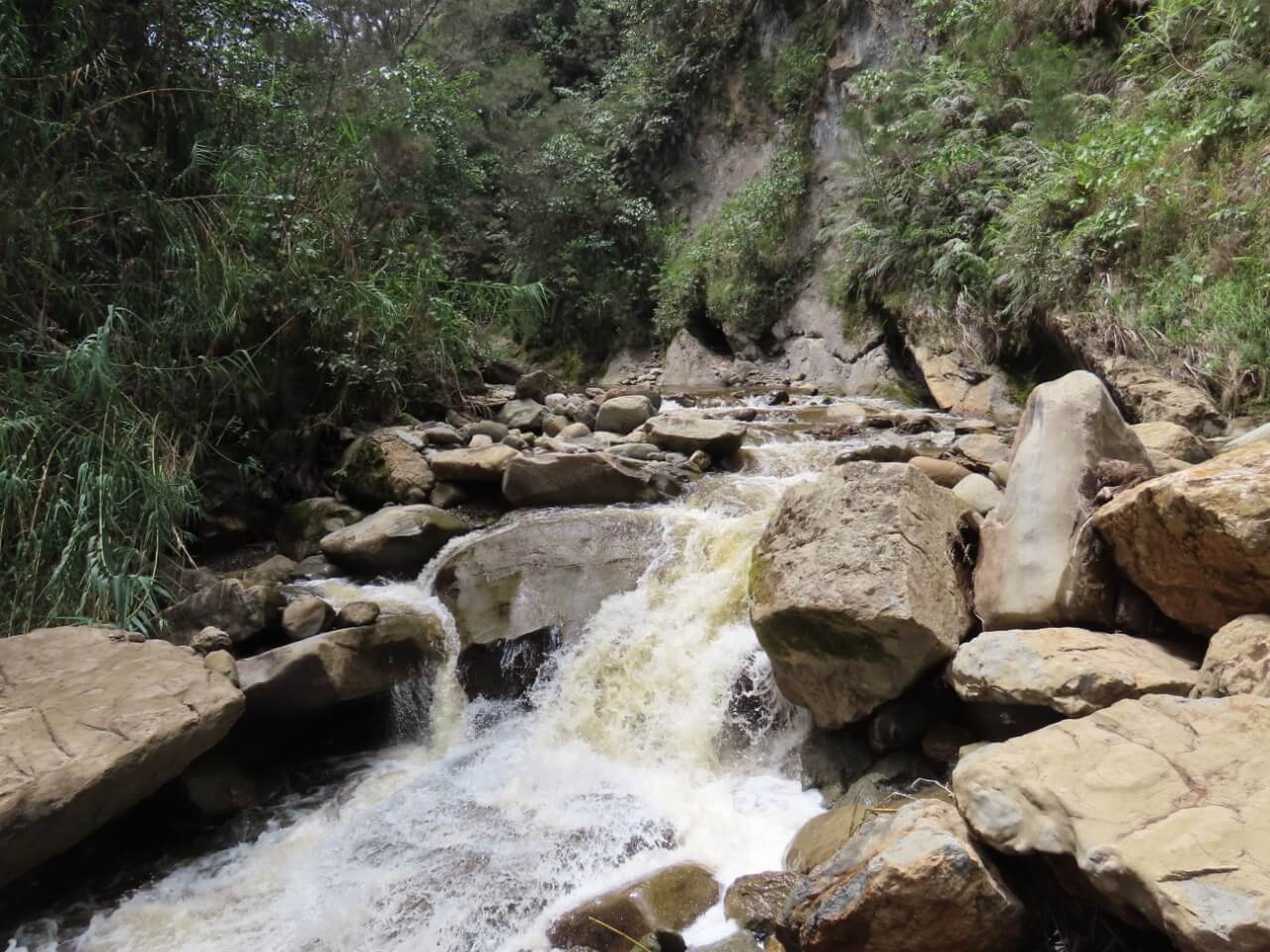 benihbaik_2021-03-30_8ff6bc579f4a715da2789e9cc5f9cad27c40d53e_jpeg