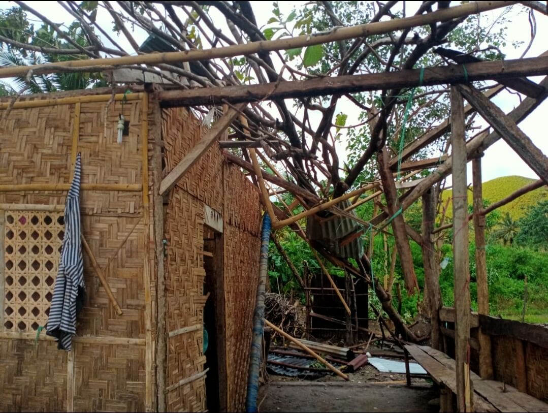 benihbaik_2021-04-09_957fbdff4abdb2608807c8561ac9754c395ba118_jpeg