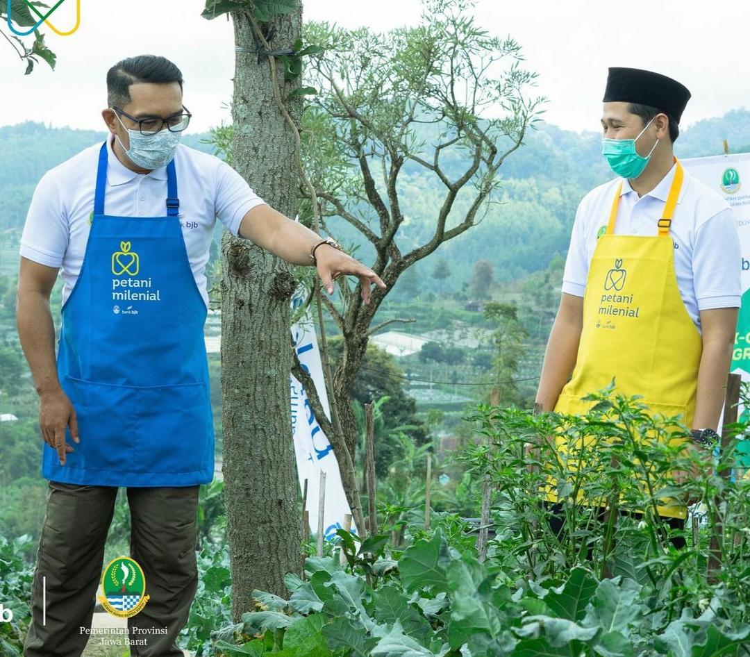 benihbaik_2021-04-20_33b36f2790d19fdbb15f322b6c8e8ee42e435108_jpeg