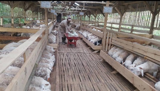 benihbaik_2021-04-20_4f92fa90fce91e78e3d091fa5d225cf5946aaa68_jpeg