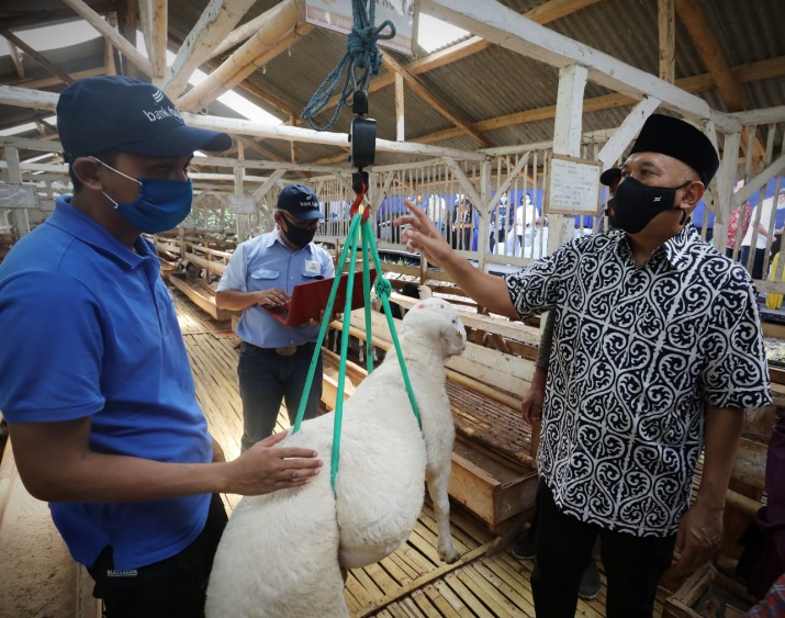 benihbaik_2021-04-20_652d7eea08231aeed497c581d736cc00a764b339_jpeg