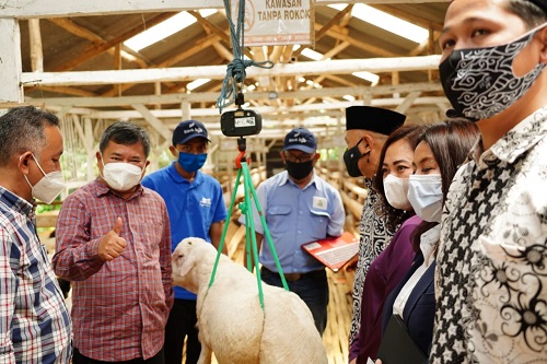 benihbaik_2021-04-20_71b6ce596ceb534e3e83dabed4a2c1d9be6760fe_jpeg