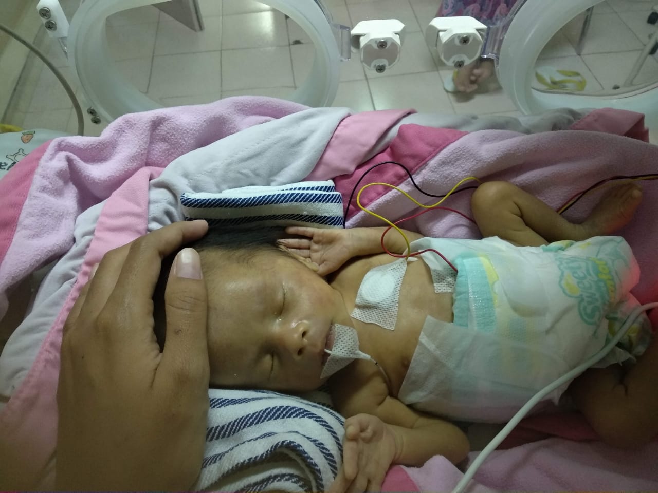 benihbaik_2021-04-22_7925be567b85b3134c5f77b627379dbee32c58ee_jpeg