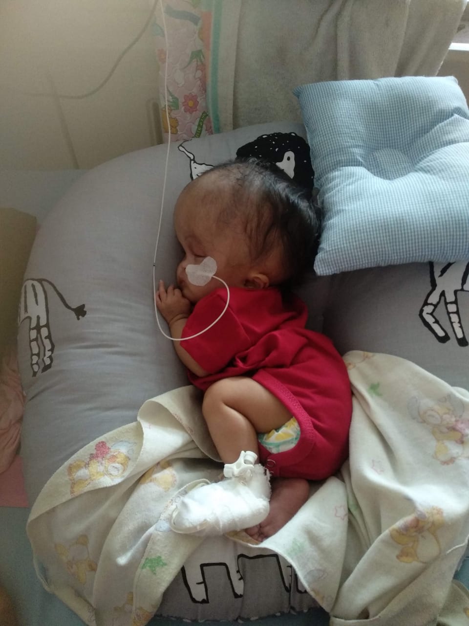 benihbaik_2021-04-22_ab120f2661dea29075e42781a620cc1d7b0767e6_jpeg