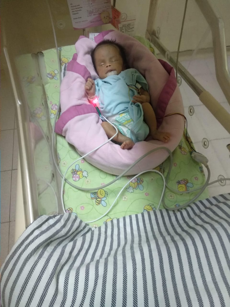 benihbaik_2021-04-22_ec7c37697e1421827ead0a924175b732765c78a3_jpeg