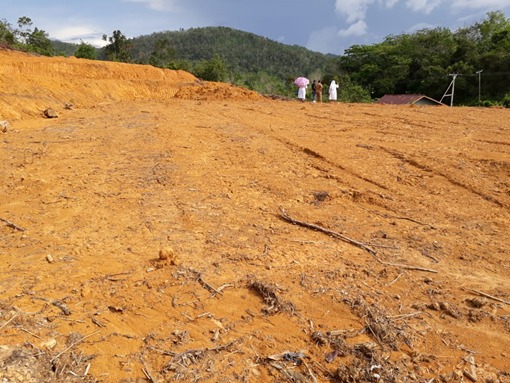 benihbaik_2021-05-06_f53923c8b2e77deae8ea4dd90a5ebc72e5adf180_jpeg