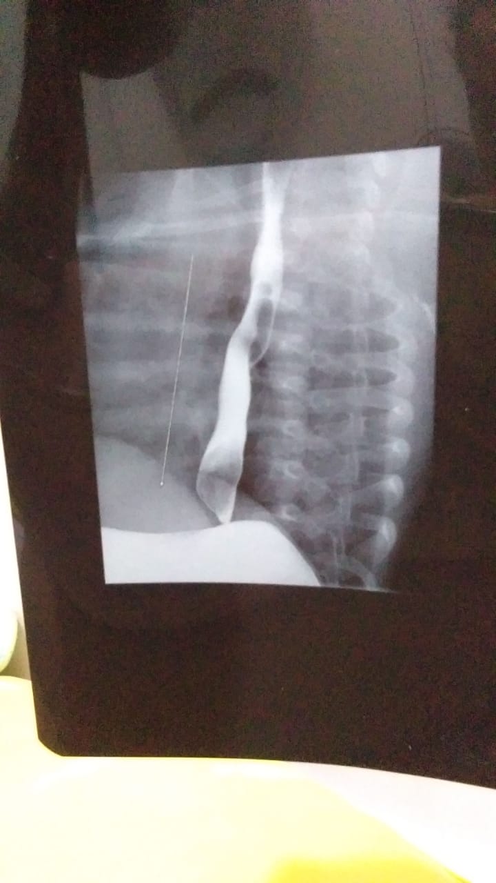 benihbaik_2021-05-18_dbb0d20a99c7179a2ea9ad55b0fbaa5f1d956739_jpeg