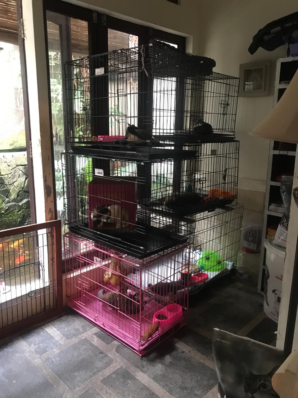 benihbaik_2021-05-28_72de150224c68ec6907c7e01c194910b64b60391_jpeg