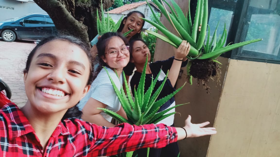 benihbaik_2021-06-09_566fd64c99431f6d7448fc91d452e39ba5bec0fc_jpeg