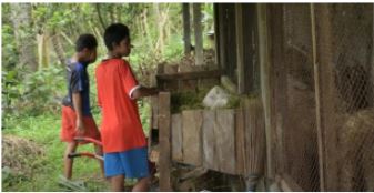 benihbaik_2021-06-11_c94f3eddfc9a4077c7289af23f8366baef5b693d_jpeg