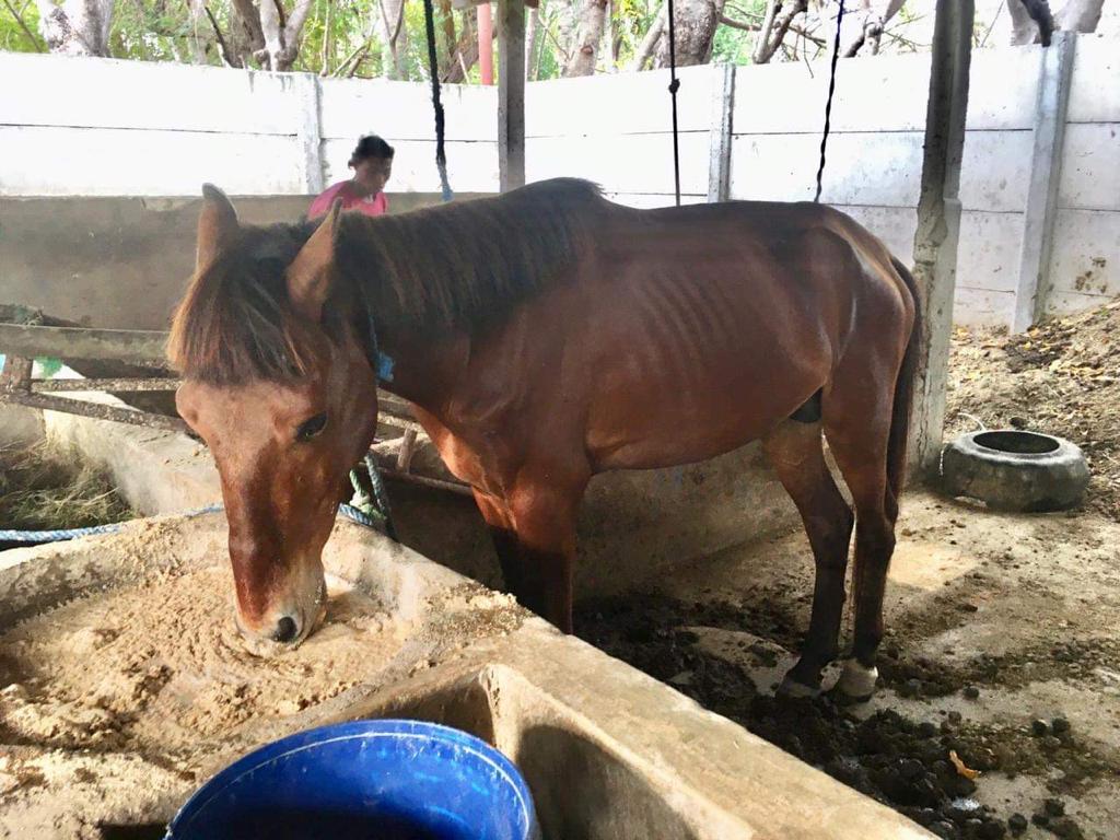 benihbaik_2021-06-14_07de684f8e19706d408b92eb570e0036aefa51a8_jpeg