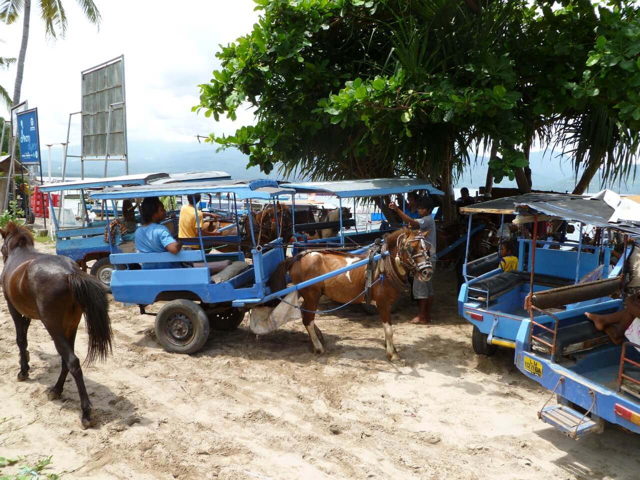 benihbaik_2021-06-14_17077321219d61b6e869dbdbf21f8a86d59f892e_jpeg