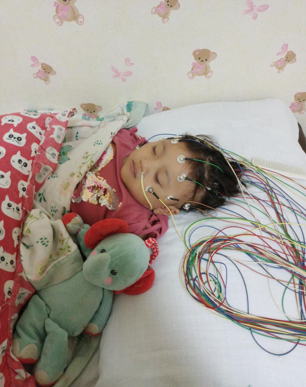 benihbaik_2021-06-22_1754e4fc4460c8a08e6de61231434782842e7390_jpeg